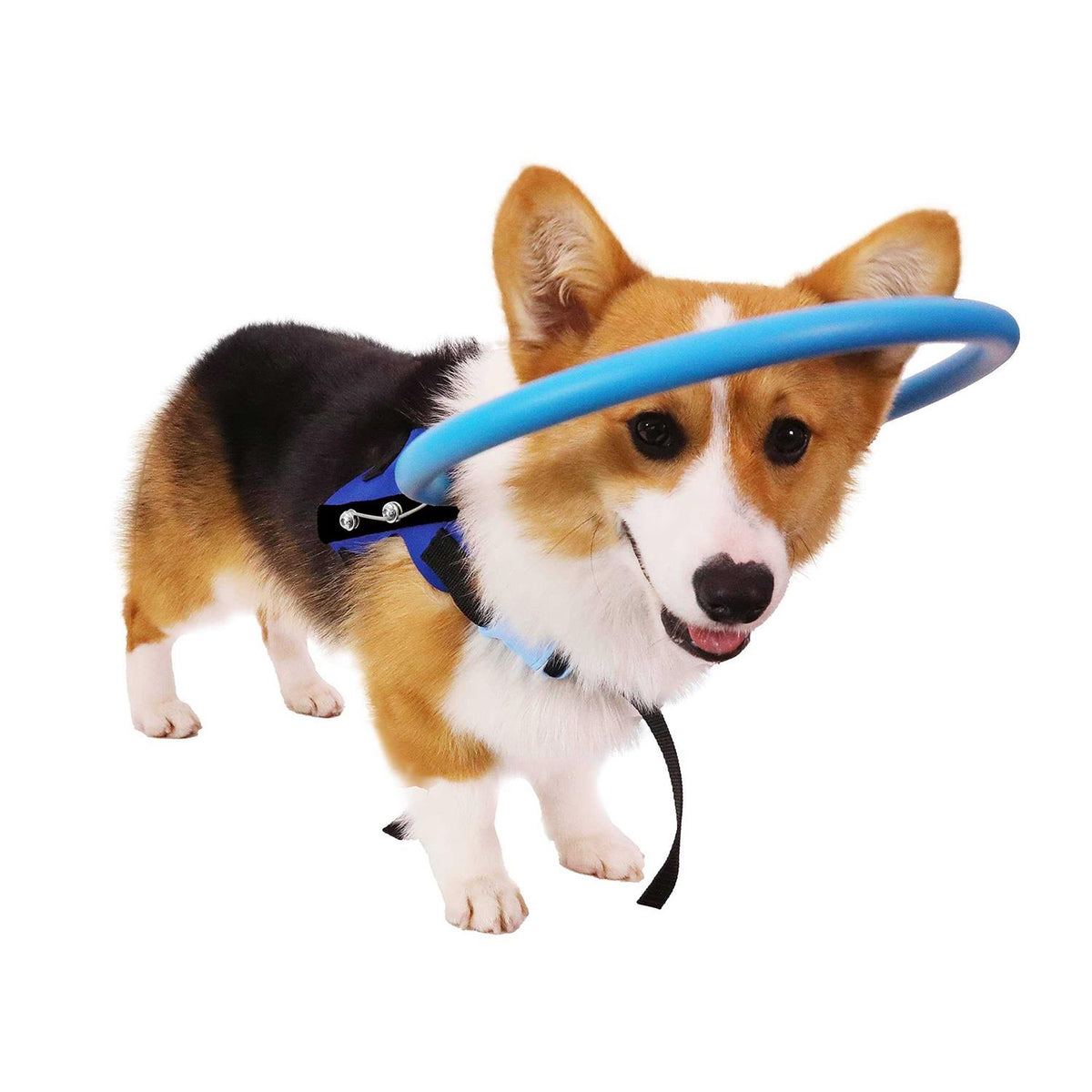 Blind Dog Harness Guiding Device U7792